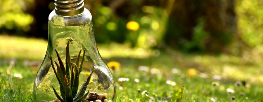 environmental-protection-3341942_1920